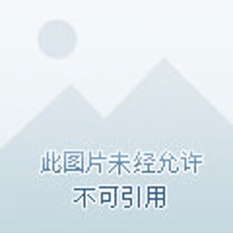 天猫代运营助力商家精准开拓市场